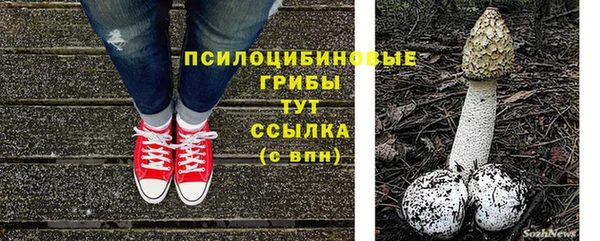 ешки Абдулино