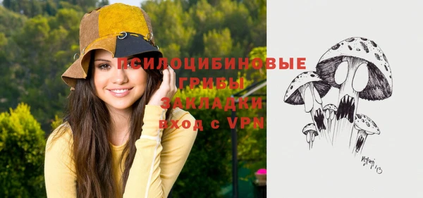 таблы Михайловск
